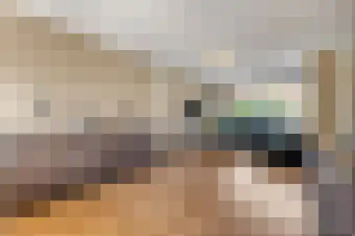 Duifkruid 37 Tiel thumbnail 9