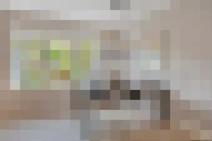 Duifkruid 45 Swifterbant thumbnail 12