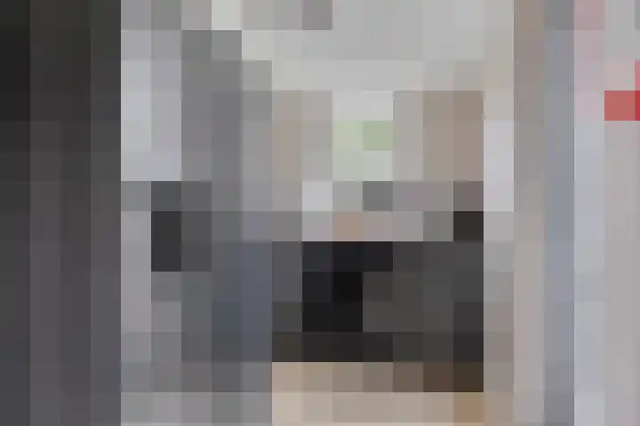 Duifkruid 45 Swifterbant thumbnail 16