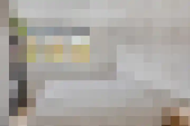 Duifkruid 45 Swifterbant thumbnail 22