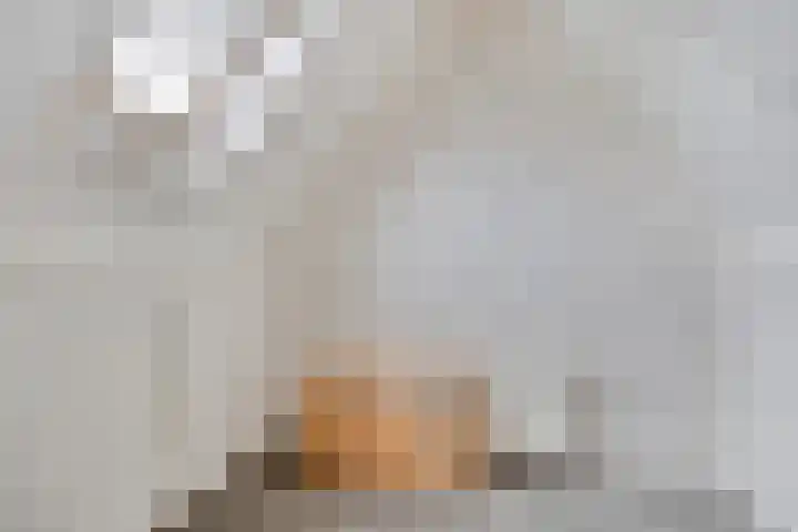 Duifkruid 45 Swifterbant thumbnail 27