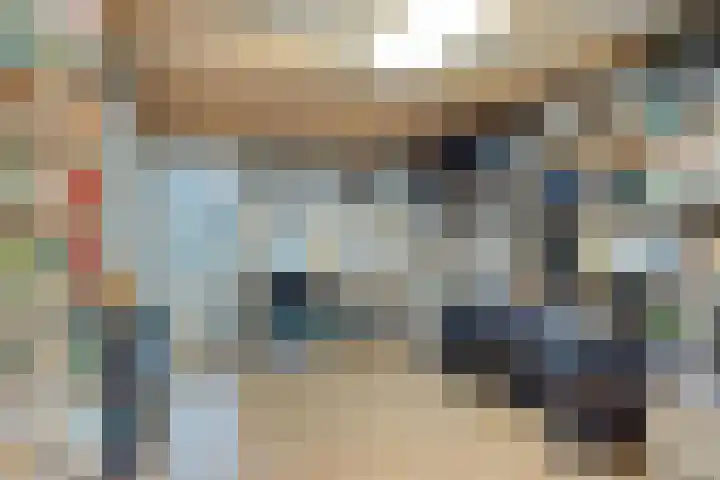 Duifkruid 45 Swifterbant thumbnail 28