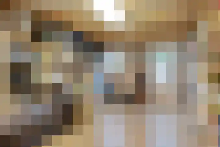 Duifkruid 45 Swifterbant thumbnail 29