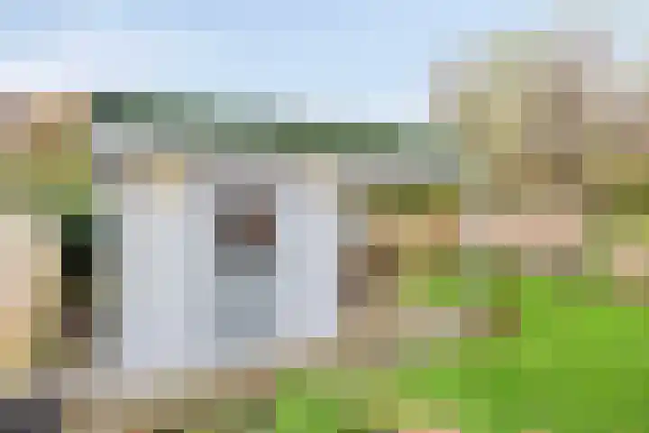 Duifkruid 45 Swifterbant thumbnail 32