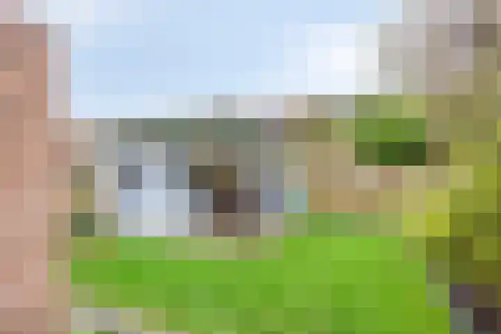 Duifkruid 45 Swifterbant thumbnail 33