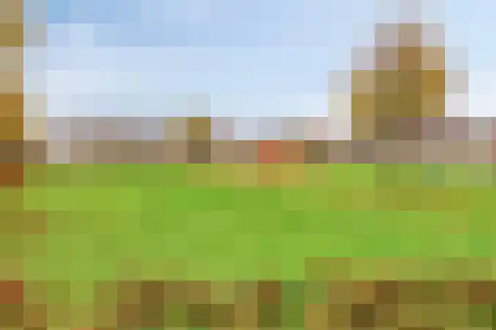 Duifkruid 45 Swifterbant thumbnail 34