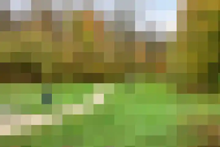 Duifkruid 45 Swifterbant thumbnail 35