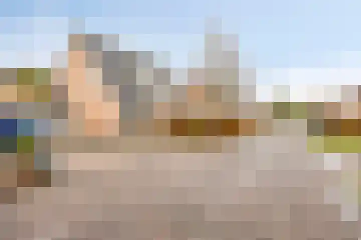 Duifkruid 45 Swifterbant thumbnail 4