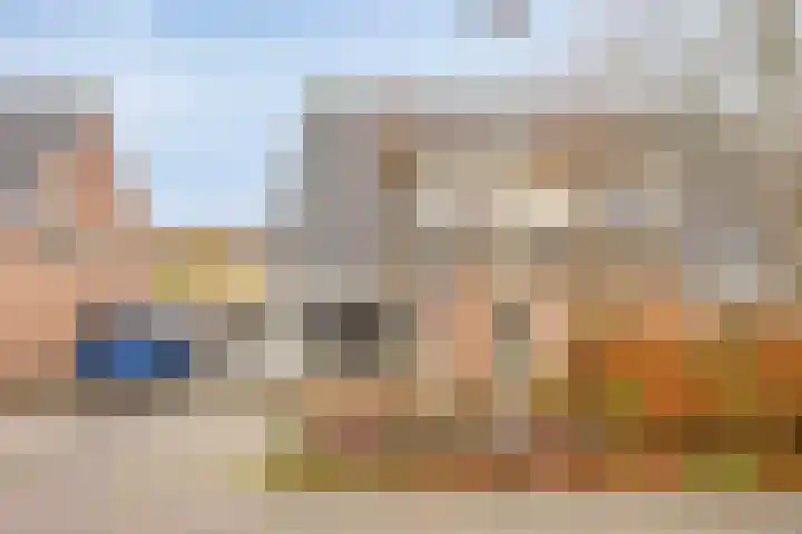 Duifkruid 45 Swifterbant thumbnail 6