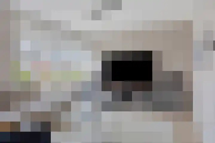 Duifkruid 45 Swifterbant thumbnail 9