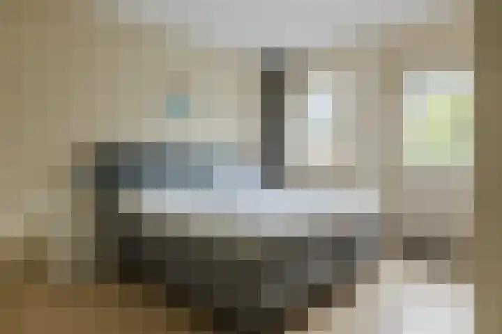 Duifkruid 48 Boxmeer thumbnail 18