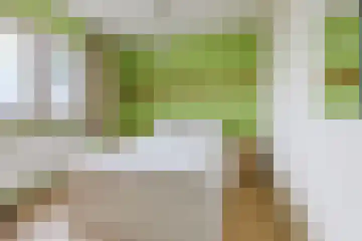Duifkruid 48 Boxmeer thumbnail 20