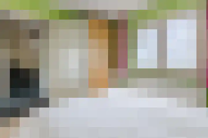 Duifkruid 48 Boxmeer thumbnail 21