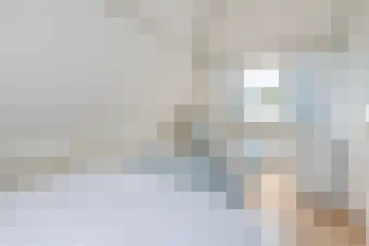 Duifkruid 48 Boxmeer thumbnail 28