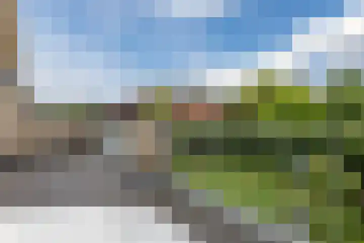 Duifkruid 48 Boxmeer thumbnail 31