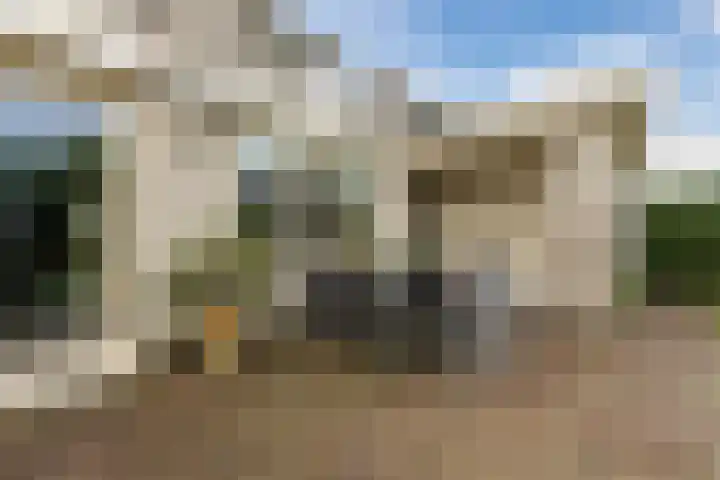Duifkruid 48 Boxmeer thumbnail 32