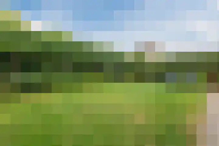 Duifkruid 48 Boxmeer thumbnail 34