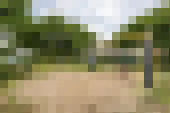 Duifkruid 48 Boxmeer thumbnail 36