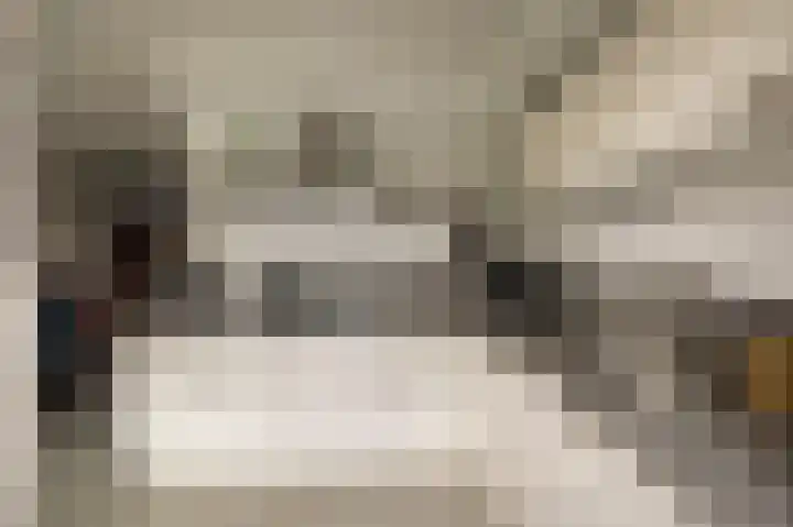 Duifkruid 53 Swifterbant thumbnail 13