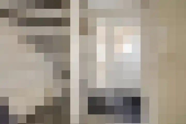 Duifkruid 53 Swifterbant thumbnail 14