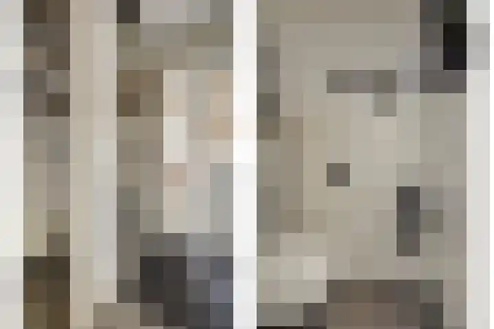 Duifkruid 53 Swifterbant thumbnail 15