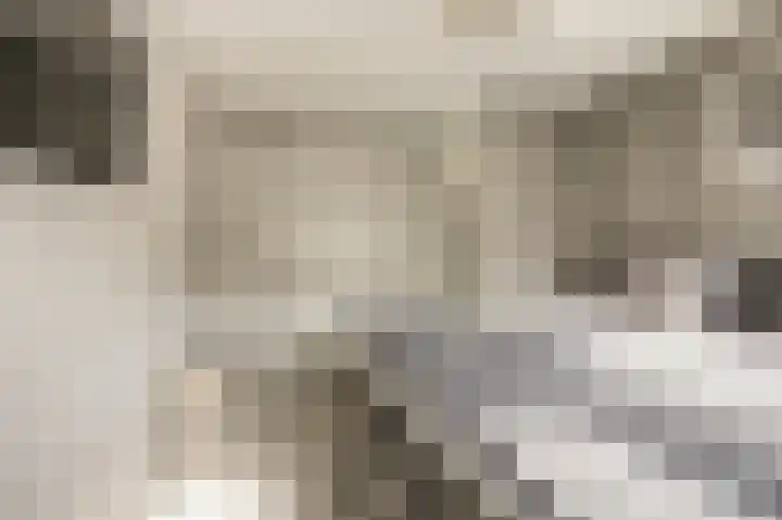 Duifkruid 53 Swifterbant thumbnail 17