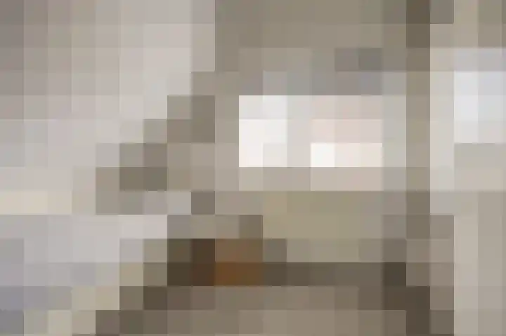 Duifkruid 53 Swifterbant thumbnail 18