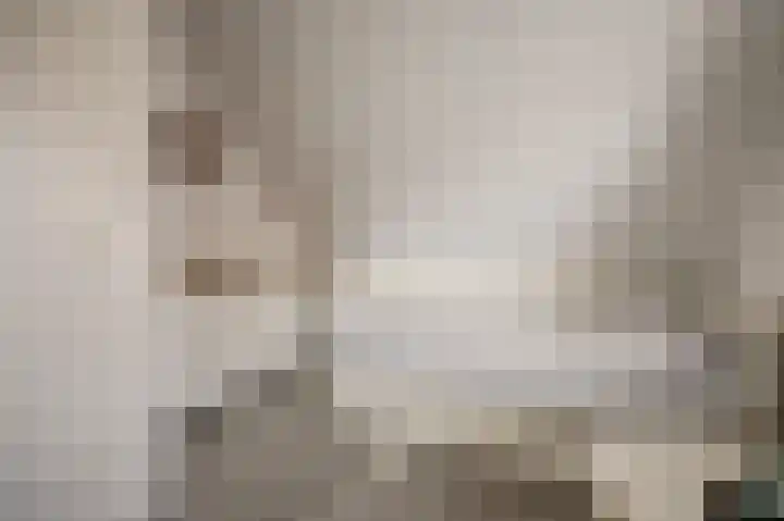 Duifkruid 53 Swifterbant thumbnail 19
