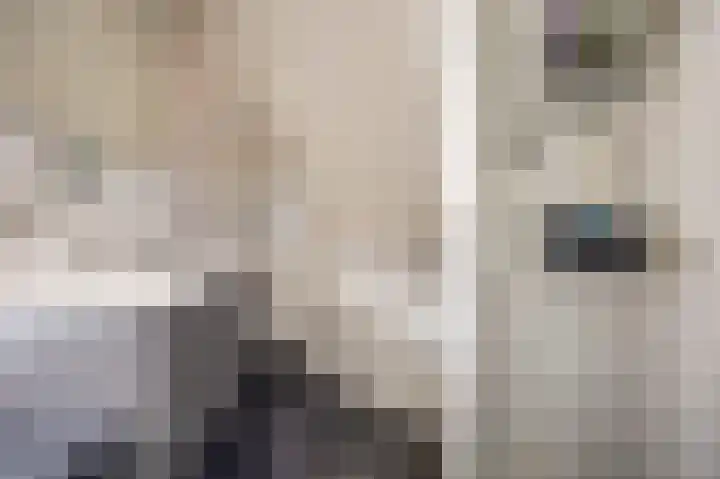 Duifkruid 53 Swifterbant thumbnail 22