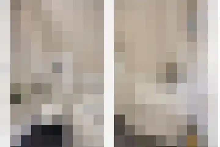 Duifkruid 53 Swifterbant thumbnail 23