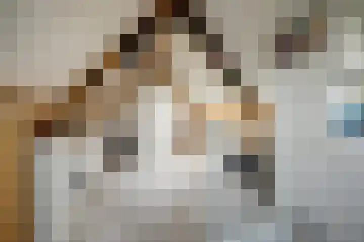 Duifkruid 53 Swifterbant thumbnail 25