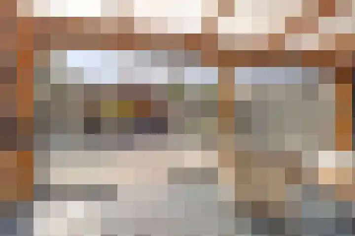 Duifkruid 53 Swifterbant thumbnail 29