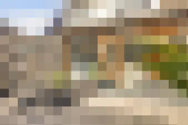Duifkruid 53 Swifterbant thumbnail 30