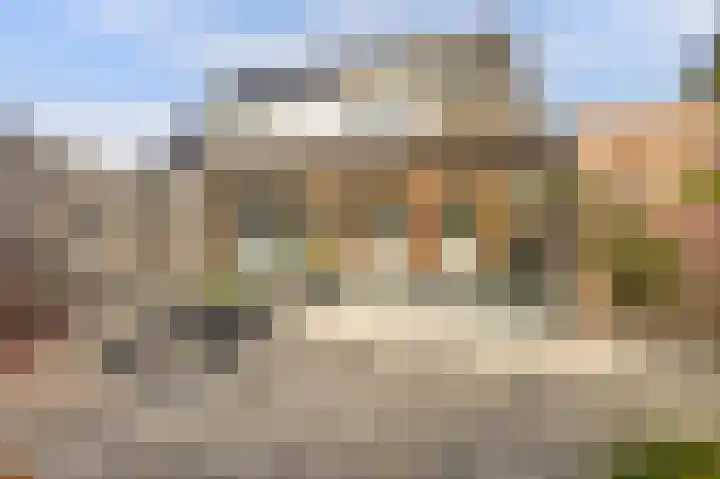 Duifkruid 53 Swifterbant thumbnail 31