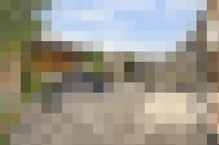 Duifkruid 53 Swifterbant thumbnail 32