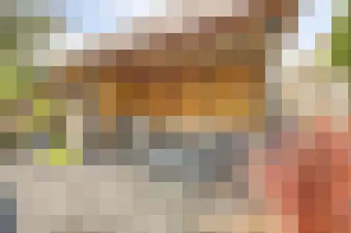 Duifkruid 53 Swifterbant thumbnail 33