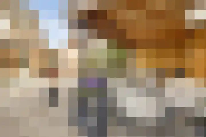 Duifkruid 53 Swifterbant thumbnail 34