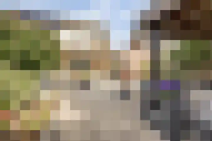 Duifkruid 53 Swifterbant thumbnail 35