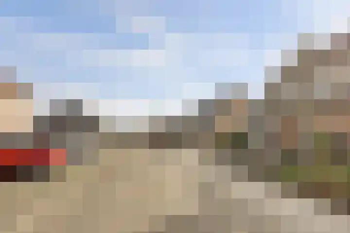 Duifkruid 53 Swifterbant thumbnail 36