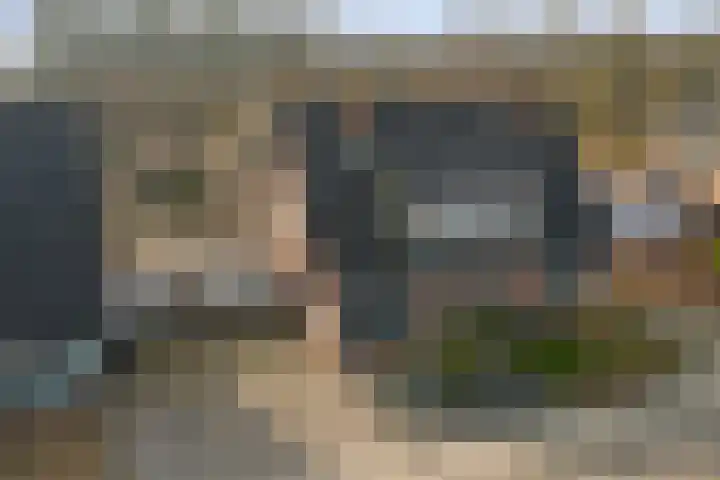 Duifkruid 53 Swifterbant thumbnail 37