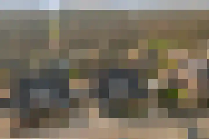 Duifkruid 53 Swifterbant thumbnail 38