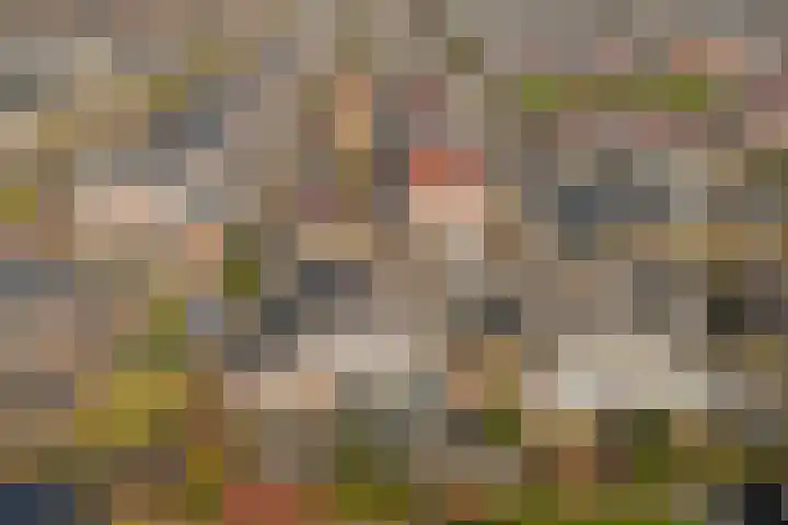 Duifkruid 53 Swifterbant thumbnail 39