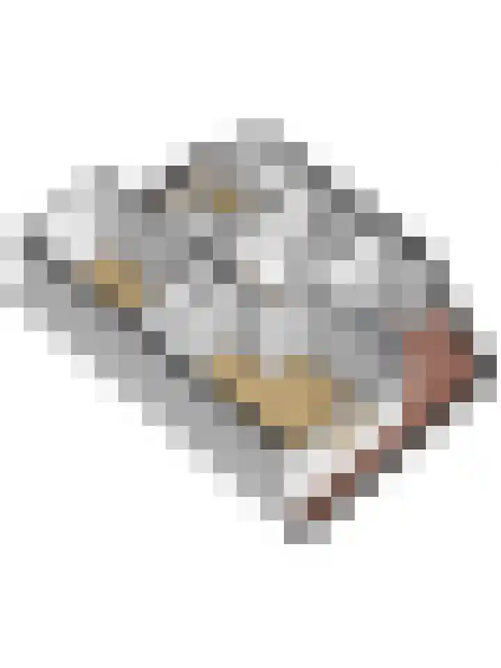 Duifkruid 53 Swifterbant thumbnail 41
