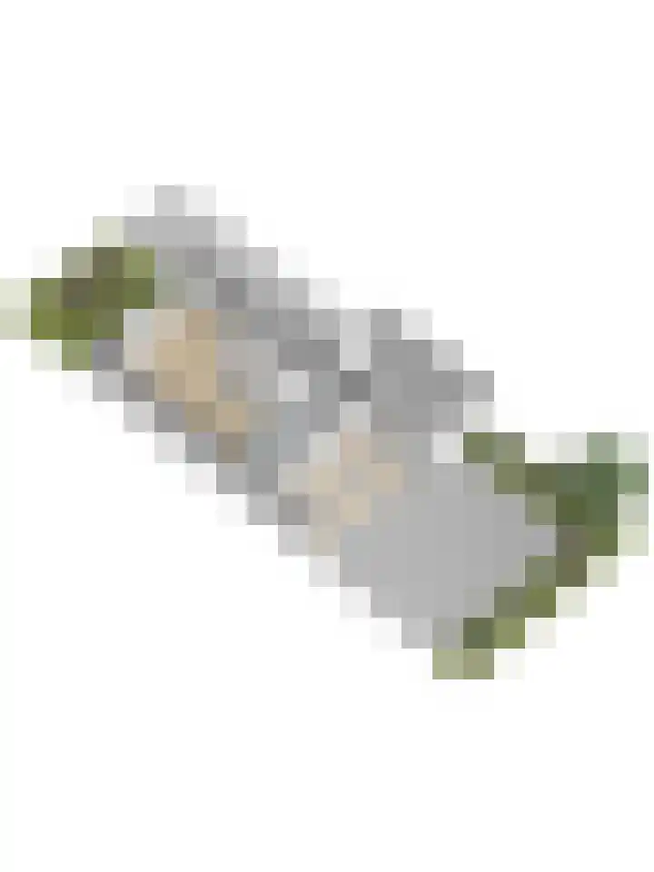 Duifkruid 53 Swifterbant thumbnail 43