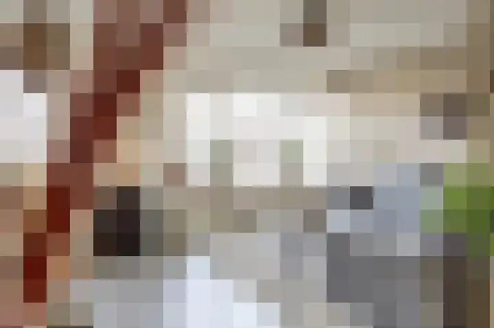 Duifkruid 53 Swifterbant thumbnail 6