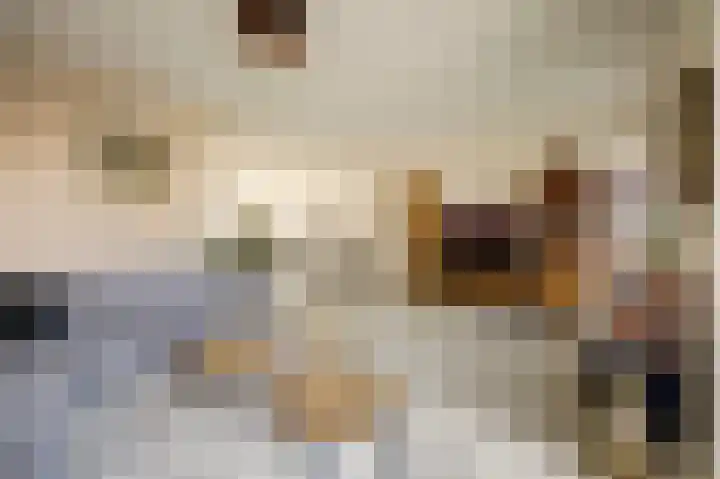 Duifkruid 53 Swifterbant thumbnail 7