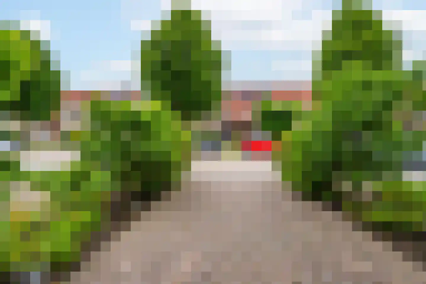 Duifkruid 60 Tiel thumbnail 10