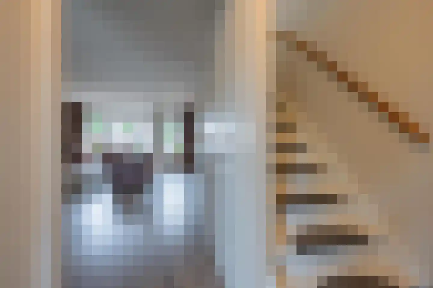 Duifkruid 60 Tiel thumbnail 13