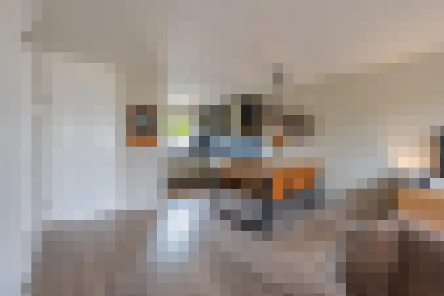 Duifkruid 60 Tiel thumbnail 15