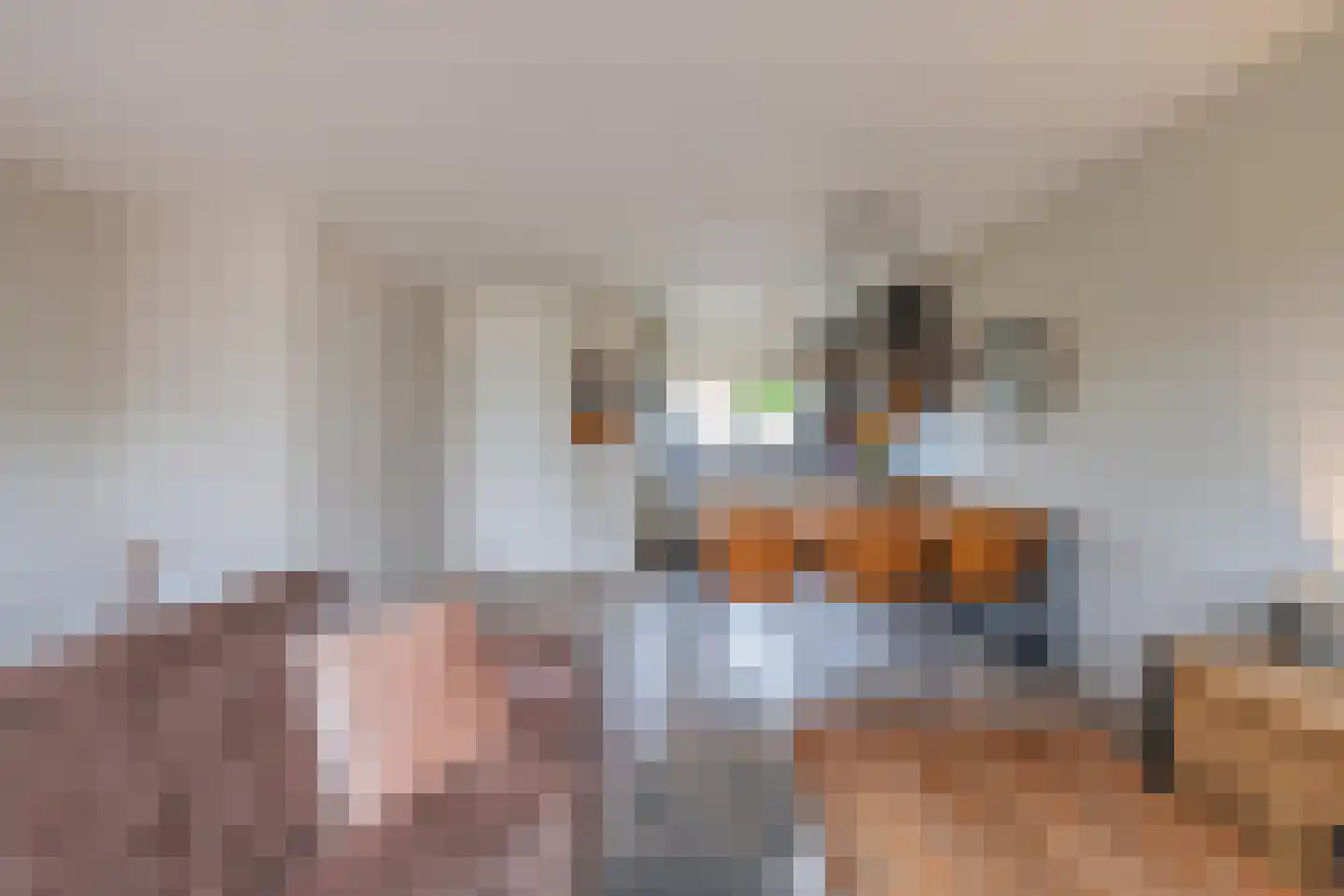 Duifkruid 60 Tiel thumbnail 17